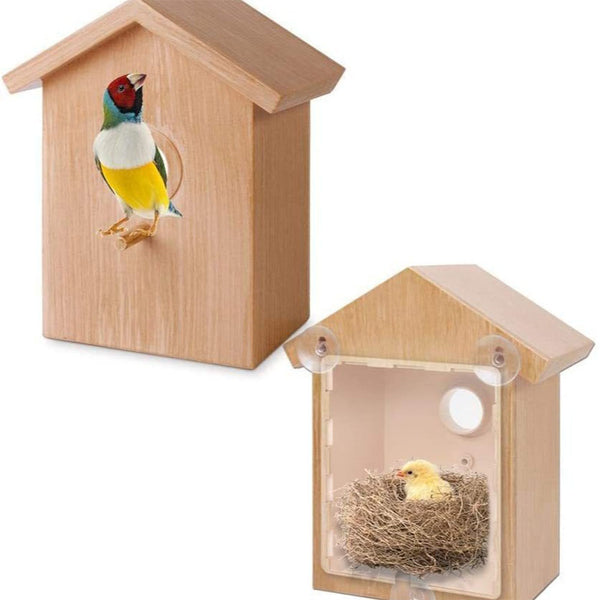 Window Bird Feeder with Scution Cups for Viewing Bird House