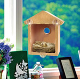 Window Bird Feeder with Scution Cups for Viewing Bird House