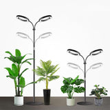 Grow Lights Dual Head LED Adjustable Height 134 to 170 cm for Indoor Plants Black
