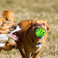 Wobble Giggle Dog Ball Pet Dog Interactive Toy Ball Squeaky Dog Toys Ball