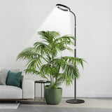 4-Light Mode Grow Light for Indoor Plants Full Spectrum Floor Plant Light with 72 LEDs Black