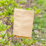100-Pack Kraft Paper Seed Envelopes Garden Home Storage Bags Mini Envelopes 6x11cm for Seeds Jewelry