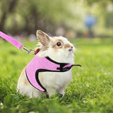 Rabbit Vest Harness Leash Lead Small Animal Pet Mesh Hamster Bunny Traction Rope Pink