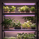 Full Spectrum Growing Lamp Panel Grow Lights for Indoor Plants Small