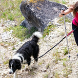 2 in 1 Double Leash for Dogs No Tangle Bungee Dog Leash Reflective Comfortable Padded Handles Red