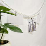 200CM Cotton Hanging Storage Chain For Stuffed Animals Storage with 20 Metal Clips White