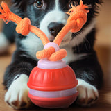 Interactive Rolling Dog Ball Toys Touch Activated Squeaky Dog Toy with Rope for Small Dogs Puppy Orange