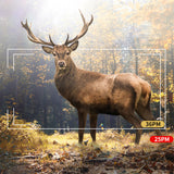 1080P Wildlife Trail Camera Night Vision Security Cam