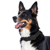 Padded Nylon Dog Collar Leash Set Adjustable for Large Dogs Black