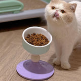 Adjustable Elevated Cat Bowl Ceramic Anti-Tip Pet Feeder Purple