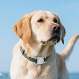 2PCS Waterproof Silicone Dog Collar Holder for Apple AirTag White