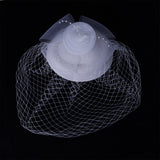 Birdcage Veil Bridal Headpiece Vintage Mesh Rose Hair Accessory White