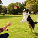 Interactive Smart Dog Ball Toy with LED Lights – Moving & Bouncing Ball for Dogs and Puppies Orange