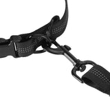2 in 1 Double Leash for Dogs No Tangle Bungee Dog Leash Reflective Comfortable Padded Handles Blue