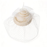 Birdcage Veil Bridal Headpiece Vintage Mesh Rose Hair Accessory Beige