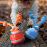 2Pcs Interactive Rolling Dog Ball Toys Touch Activated Squeaky Dog Toy with Rope for Small Dogs Puppy