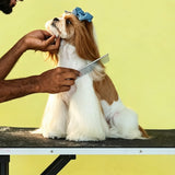 3PCS Double Sided Stainless Steel Dematting Grooming Comb for Dogs and Cats