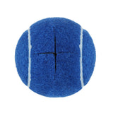4PCS Walker Tennis Balls Precut Tennis Balls for Walkers for Furniture Legs and Floor Protection Blue
