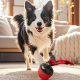 Squeaky Rolling Ball Dog Toy – Interactive Motion-Activated Chew Toy for Dogs Red