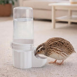 Quail Chick Waterer with Anti-Drowning Shallow Tray for Cage with Anti Drowning Tray White