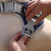 No Pull Pet Dog Harness Adjustable Dog Vest with Reflective Strip Black