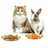 4Pcs Stainless Steel Pet Bowls Durable Shallow Pet Feeding Dishes Easy to Clean Gold