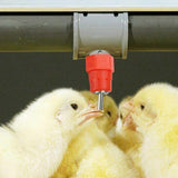 20Pcs Set Poultry Automatic Water Nipple Valves Auto Drinker Waterer Feeder for Chicken Duck Bird