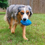 Puppy Chew Ball With Squeaker Dog Chew Toys Squeaky Dog Toys For Aggressive Chewers Blue