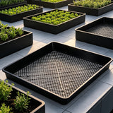 10 PCS Square Fine Hole Seedling Trays for Propagation and Hydroponics