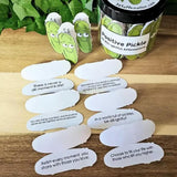 60PCS Positive Pickles Affirmation Cards Jar – Motivational Gift for Women and Teens Style 1