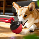 Squeaky Rolling Ball Dog Toy – Interactive Motion-Activated Chew Toy for Dogs Red