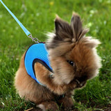 Rabbit Vest Harness Leash Lead Small Animal Pet Mesh Hamster Bunny Traction Rope Blue