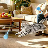 Retractable Cat Teaser Launcher Automatic with 2 Plush Balls for Cats Dogs Blue