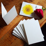 20 Sets Blank Cards with Self Seal Envelopes for Greetings White