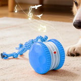 Interactive Pet Rolling Ball Toy Rechargeable Automatic for Cats and Dogs Blue