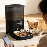 4.5L Automatic Double Cups Cat Feeders for Two Cats Black