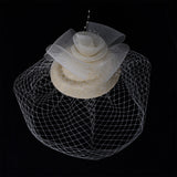 Birdcage Veil Bridal Headpiece Vintage Mesh Rose Hair Accessory Beige