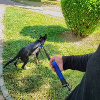 Hands Free Dog Walking Waist Bag with Adjustable Dog Leash Waist Belt Pouch Dog Running Rope Blue