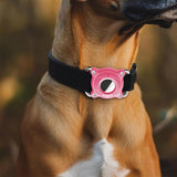 2Pcs Protective Case for Apple AirTag 1st/2nd Gen Water Resistant Hard Shell Holder Cover for Pet Collar Keychain Bag Pink