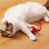 Interactive Cat Toy Ball Fast Rolling Motion Activate Cat Toy Red