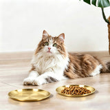 4Pcs Stainless Steel Pet Bowls Durable Shallow Pet Feeding Dishes Easy to Clean Gold