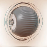 Interactive Cat Toy Ball Fast Rolling Motion Activate Cat Toys Gray