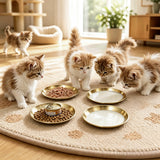 4Pcs Stainless Steel Pet Bowls Durable Shallow Pet Feeding Dishes Easy to Clean Gold