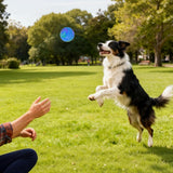 Interactive Smart Dog Ball Toy with LED Lights – Moving & Bouncing Ball for Dogs and Puppies Blue