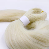 2Pcs Pre-Stretched Braiding Hair Extensions Synthetic Cosplay Hair Extensions Beige