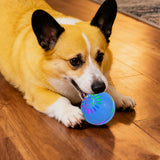 Interactive Smart Dog Ball Toy with LED Lights – Moving & Bouncing Ball for Dogs and Puppies Blue