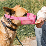 2Pcs Dog Muzzle Mouth Cover Anti Bite Barking Chewing Mesh for Small Medium Large Dogs Black+Pink