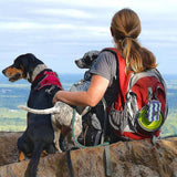 Pet Dog Poop Bag Holder Poo Waste Bags Container for Leash Blue
