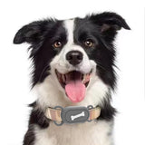 4 Pack Pet Collar Holders Compatible with Samsung Galaxy SmartTag2 Silicone Protective Cases with Ear Attachment Design for Cats and Dogs Bone Style