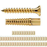 100 PCS Expansion Anchor and Screw Set with Storage Box